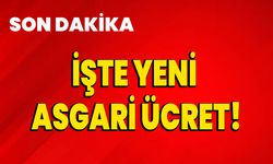 İşte asgari ücret!