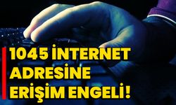 1045 internet adresine erişim engeli!