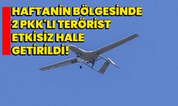 Haftanin bölgesinde 2 PKK'lı terörist etkisiz hale getirildi!