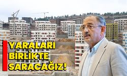 Yaraları birlikte saracağız