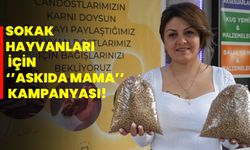 Sokak hayvanları için ‘’Askıda mama’’ kampanyası!