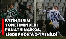 Fatih Terim yönetimindeki Panathinaikos, ligde PAOK'a 2-1 yenildi