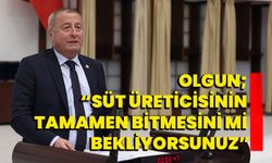 Olgun; “Süt üreticisinin tamamen bitmesini mi bekliyorsunuz”