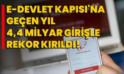 e-Devlet Kapısı'na geçen yıl 4,4 milyar girişle rekor kırıldı