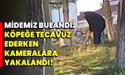 Midemiz bulandı: Köpeğe tecavüz ederken kameralara yakalandı!