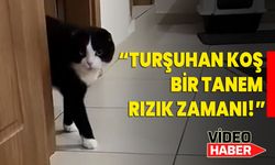 TURŞUHAN KOŞ BİRTANEM RIZIK ZAMANI!