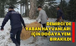Demirci'de yaban hayvanları için doğaya yem bırakıldı