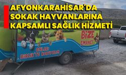 Afyonkarahisar'da Sokak Hayvanlarına Kapsamlı Sağlık Hizmeti