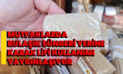 Mutfaklarda bulaşık süngeri yerine kabak lifi kullanımı yaygınlaşıyor