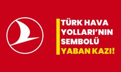 Türk Hava Yolları'nın Sembolü: Yaban Kazı!