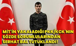 MİT'in yakaladığı PKK/KCK'nın sözde sorumlularından Serhat Bal tutuklandı