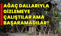 Ağaç dallarıyla gizlemeye çalıştılar ama başaramadılar!