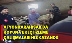 Afyonkarahisar'da Koyun ve Keçi İzleme Çalışmaları Hız Kazandı!