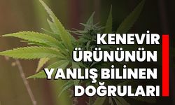 Kenevir ürününün yanlış bilinen doğruları