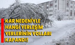 Kar nedeniyle hangi yerleşim yerlerinin yolları kapandı!