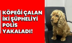 Köpeği çalan iki şüpheliyi polis yakaladı!