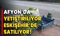 Afyon’da yetiştiriliyor Eskişehir’de satılıyor!