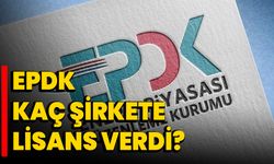 EPDK kaç şirkete lisans verdi?