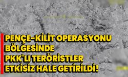 Pençe-Kilit Operasyonu bölgesinde PKK'lı teröristler etkisiz hale getirildi!