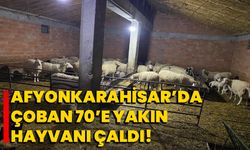 Afyonkarahisar’da çoban 70’e yakın hayvanı çaldı!  