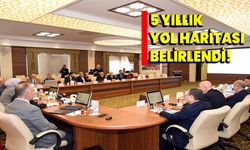 5 yıllık yol haritası belirlendi