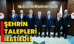 Şehrin talepleri iletildi!