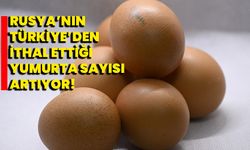 Rusya’nın Türkiye’den ithal ettiği yumurta sayısı artıyor!
