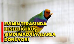 Evinin terasında beslediği kuş şimdi madalyalarla dönüyor!