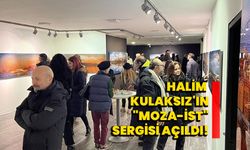 Halim Kulaksız'ın "Moza-İst" sergisi açıldı!
