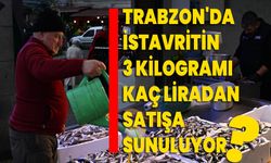 Trabzon'da istavritin 3 kilogramı 100 liradan satışa sunuluyor
