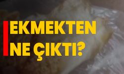 Ekmekten ne çıktı?