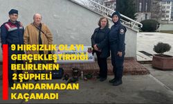 Eskişehir’de 9 hırsızlık olayı gerçekleştirdiği belirlenen 2 şüpheli jandarmadan kaçamadı