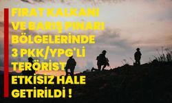 Fırat Kalkanı ve Barış Pınarı bölgelerinde 3 PKK/YPG'li terörist etkisiz hale getirildi
