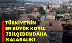 Türkiye'nin en büyük köyü: 79 ilçeden daha kalabalık