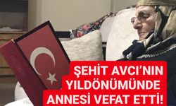 Şehit Avcı’nın yıldönümünde annesi vefat etti!