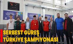 Serbest Güreş Türkiye Şampiyonası