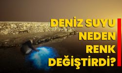 Deniz suyu neden renk değiştirdi?