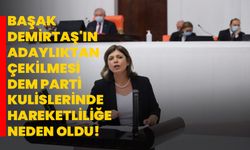 Başak Demirtaş'ın Adaylıktan Çekilmesi, DEM Parti Kulislerinde Hareketliliğe Neden Oldu!