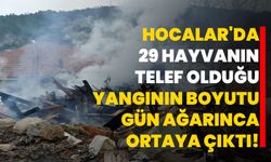 Hocalar'da 29 hayvanın telef olduğu yangının boyutu gün ağarınca ortaya çıktı!