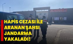 Hapis cezası ile aranan şahsı jandarma yakaladı!  