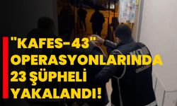 "Kafes-43" operasyonlarında 23 şüpheli yakalandı!