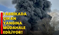 Kocaeli'de bir fabrikada çıkan yangına müdahale ediliyor!