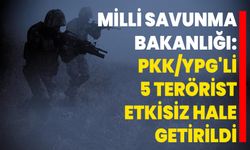 Milli Savunma Bakanlığı: PKK/YPG'li 5 Terörist Etkisiz Hale Getirildi