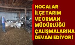 Hocalar İlçe Tarım ve Orman Müdürlüğü çalışmalarına devam ediyor!