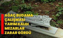 Ağaç budama çalışması yarım kaldı, mezarlar zarar gördü