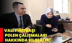 Vali Yiğitbaşı, polen çalışmaları hakkında bilgi aldı!