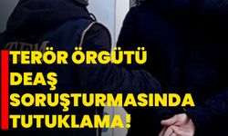 İstanbul merkezli terör örgütü DEAŞ soruşturmasında tutuklama!