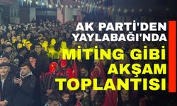 AK Parti'den Yaylabağı'nda miting gibi akşam toplantısı!