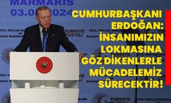 Cumhurbaşkanı Erdoğan: İnsanımızın lokmasına göz dikenlerle mücadelemiz sürecektir!