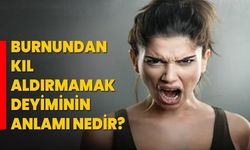 BURNUNDAN KIL ALDIRMAMAK DEYİMİNİN ANLAMI NEDİR?